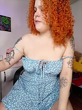 Alaska_colors7 webcam