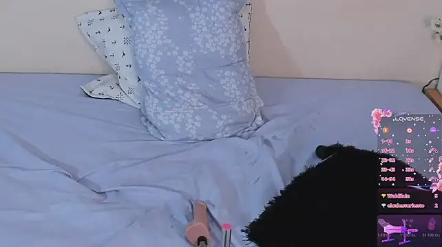 Katta_Gil