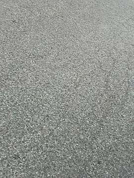 pegaso369 webcam