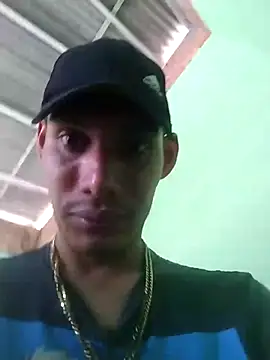 gingavi webcam