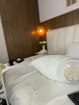 Hayami_Li webcam