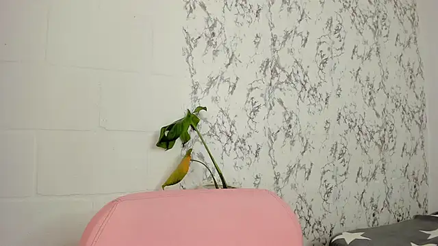 GIANELLA_H webcam