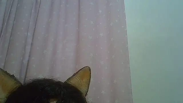 SkinnyKitten webcam