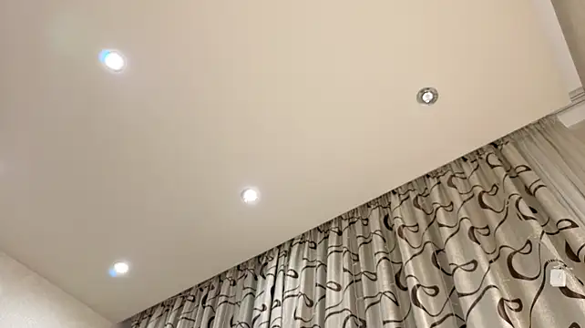 dolly_ll webcam