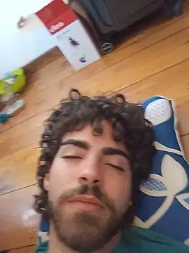 TheAgentVisage webcam