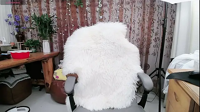 amysasa