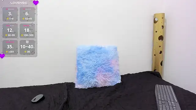Lindsey8 webcam