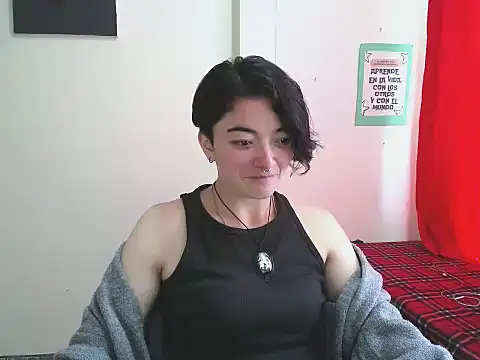 Came-II webcam