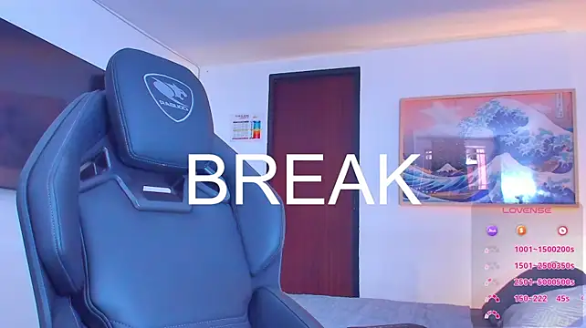 RJBarto webcam