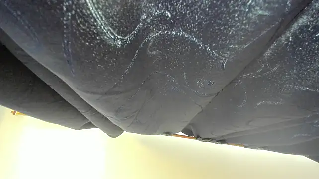 Kitten_blue webcam