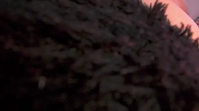 amber_demons2021 webcam