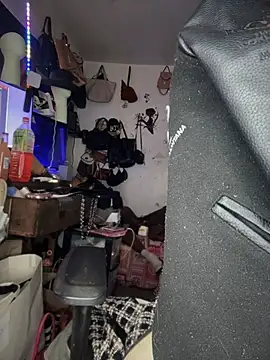 Motherbigbus webcam