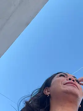 Bellatrans__