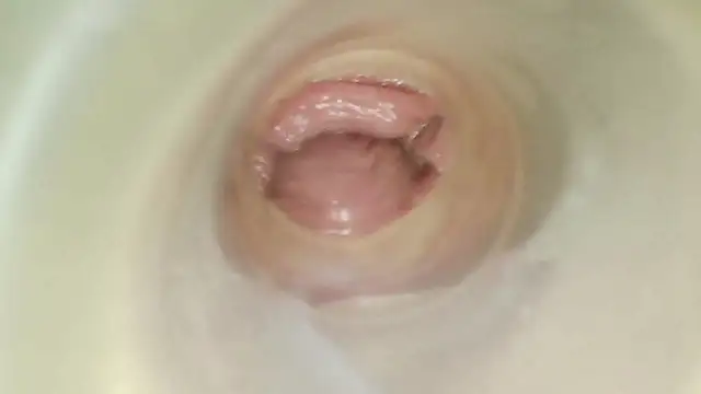 karol_stom