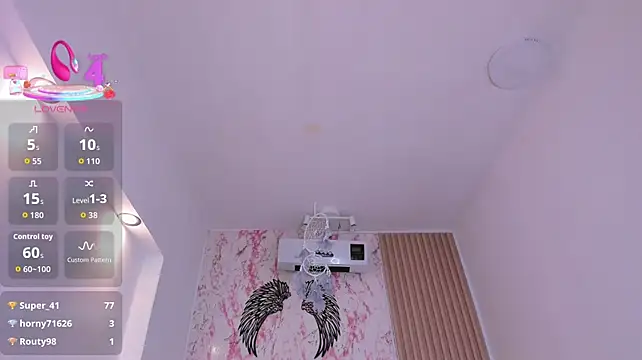 ivy__ros webcam