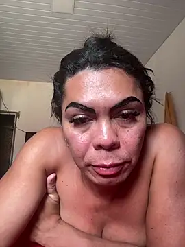 Bellatrans__