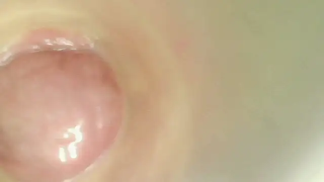karol_stom