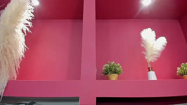 Llittlemaya webcam