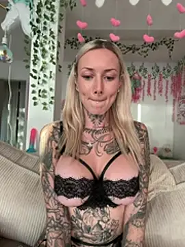 Stella-Kink webcam