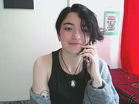 Came-II webcam