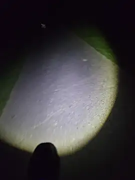 JackHera webcam