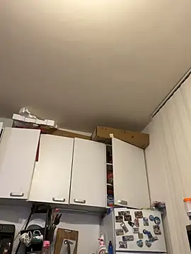 kotkite live cam preview