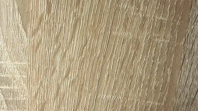 NoFace_Model live cam