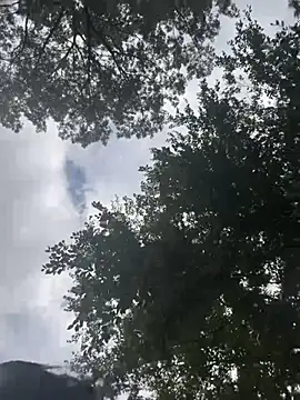 LeBimbo live sex cam