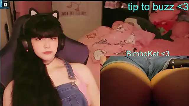 BimboCat webcam