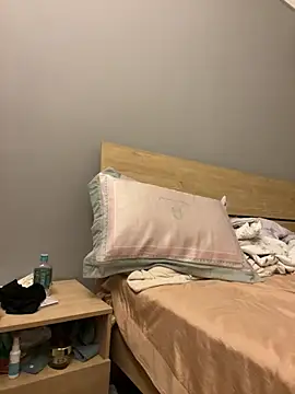 xianyu-ss webcam