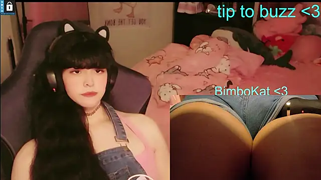 BimboCat webcam