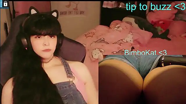 BimboCat webcam