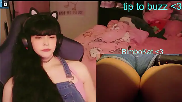 BimboCat webcam