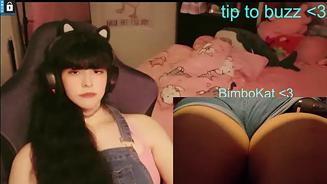 BimboCat webcam