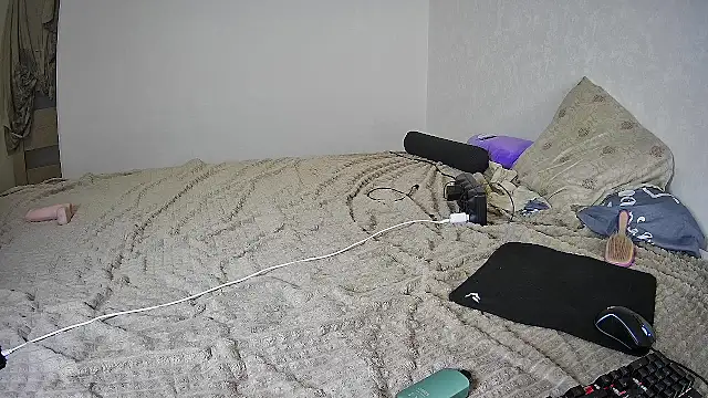 Sasyhk0 webcam