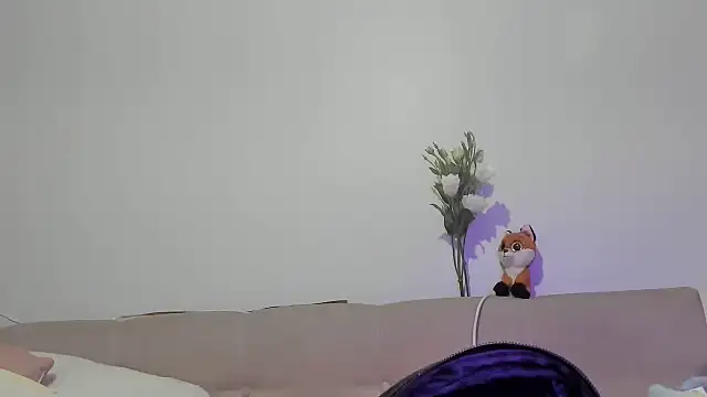 RosyFoxy webcam