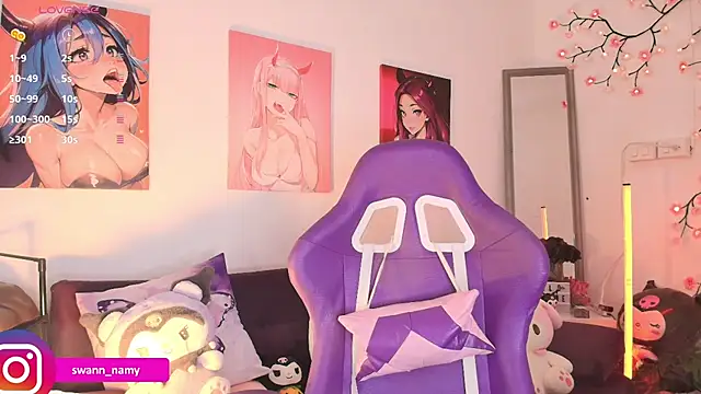 Swannamy webcam