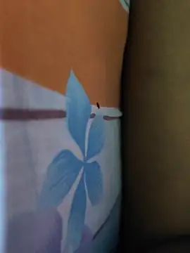 desihotyy88 webcam