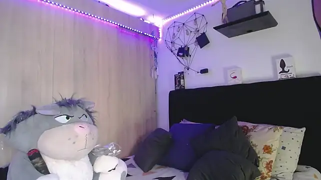 Santiago_kiler webcam