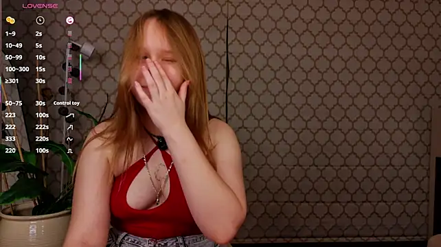 VoidElaris webcam
