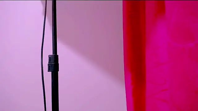 MaidenGame webcam