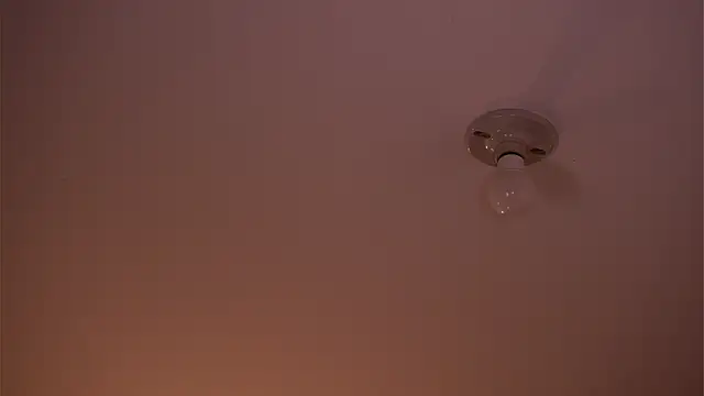 soidai_miiu webcam