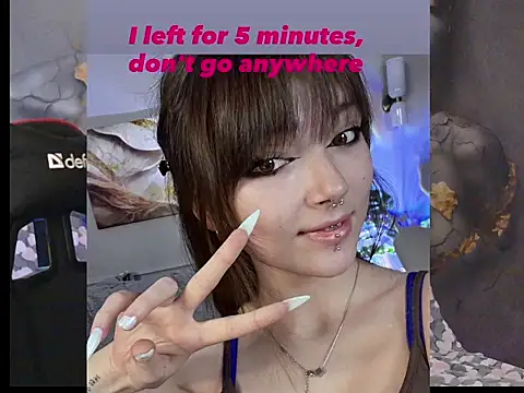 Lisssaura webcam