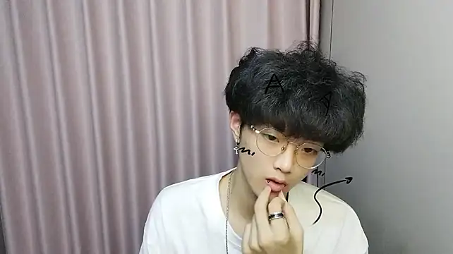 wssoo11 webcam