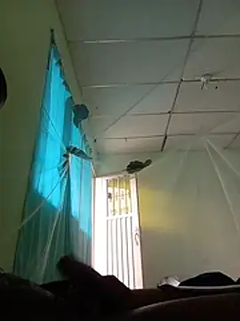 DyLandavi34 webcam