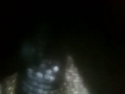 pinky_siaah webcam