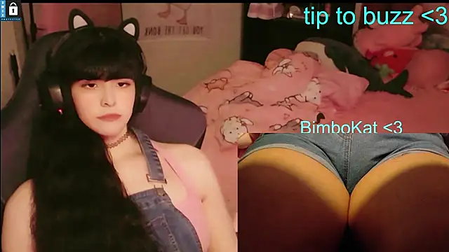 BimboCat webcam