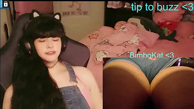 BimboCat webcam
