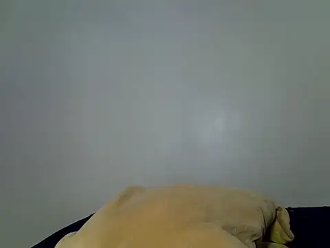 Dejavuh24
