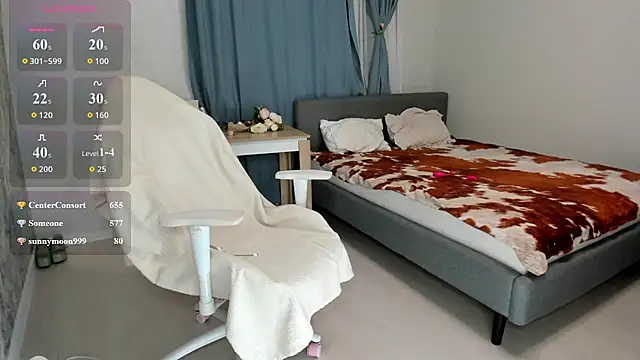 Vanellopes webcam